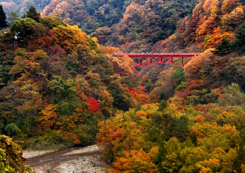 錦秋の赤い橋