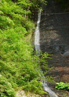 白糸の滝１