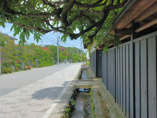 門5