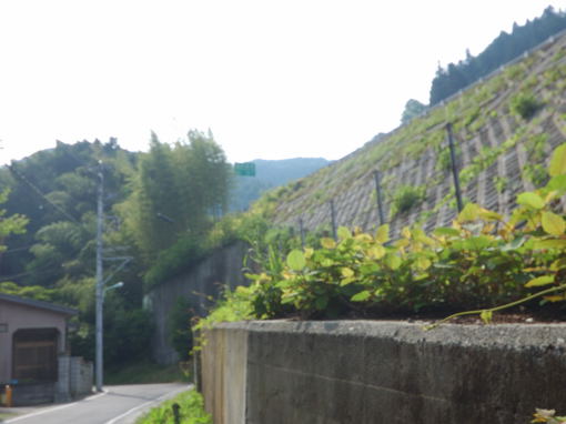 S字登山道