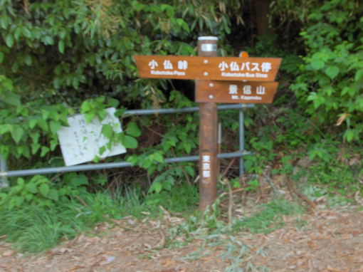 車駐車
