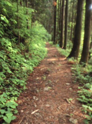 下山道