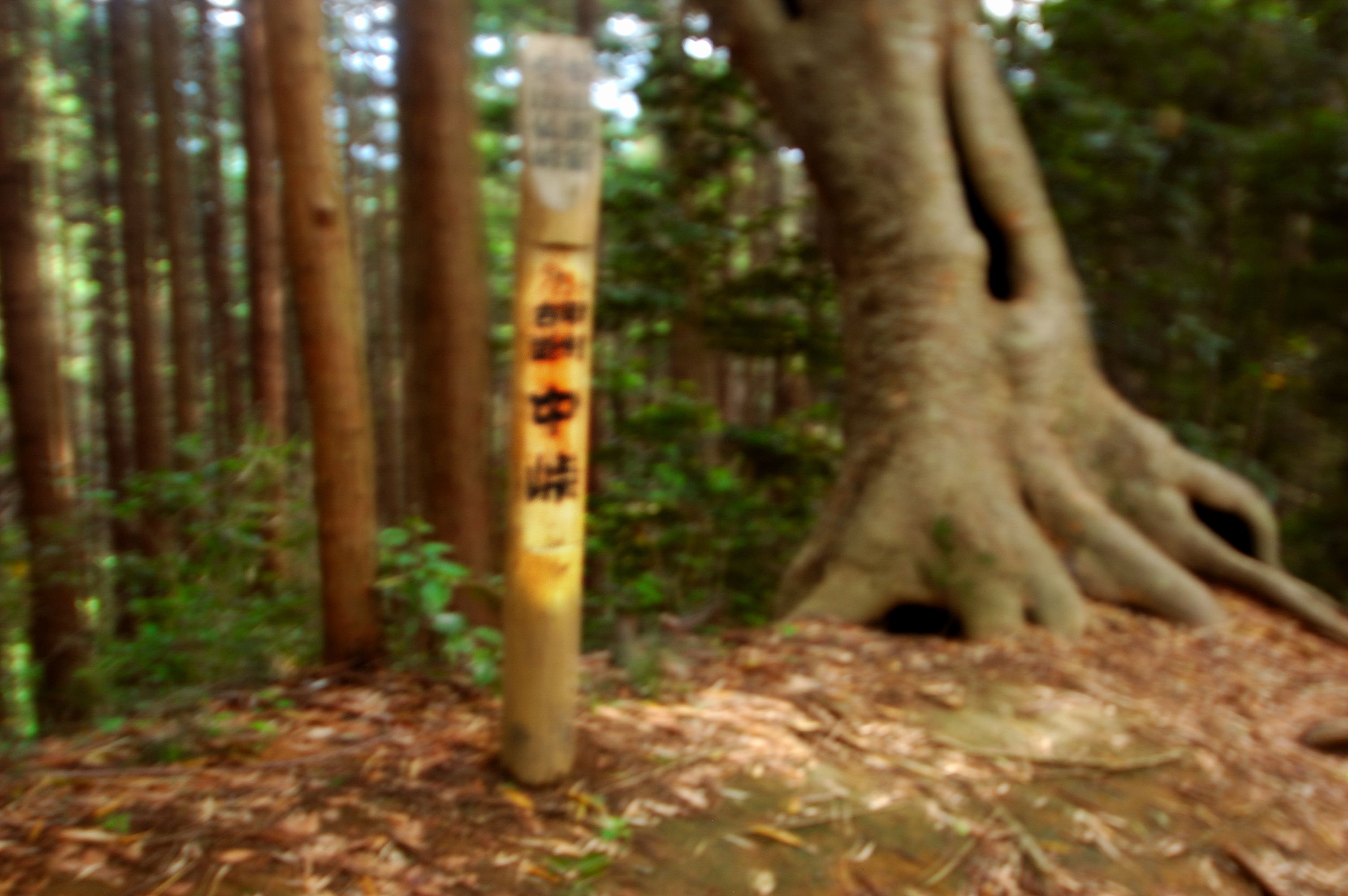道標 中峠
