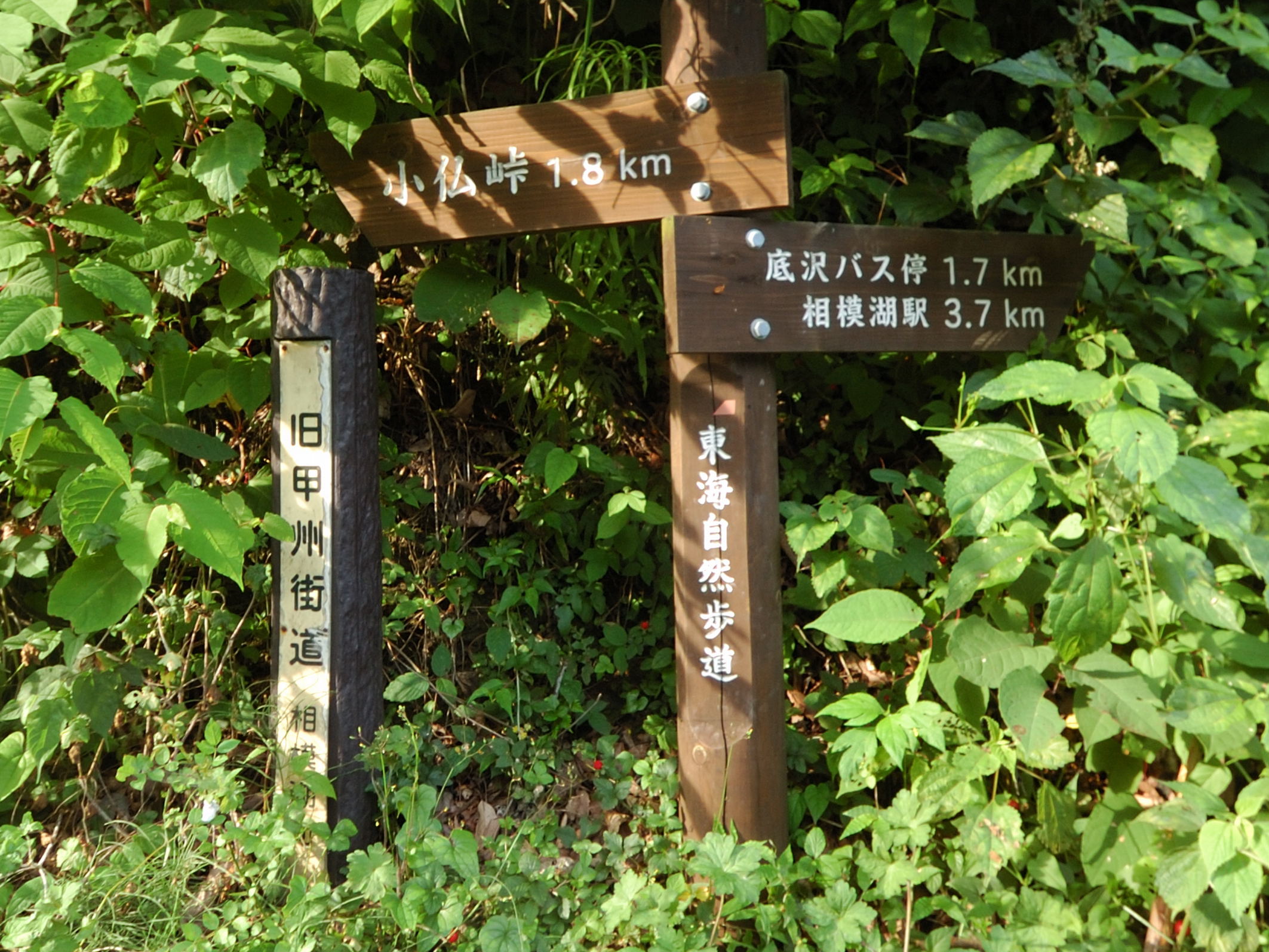 舗装道路の道路標識